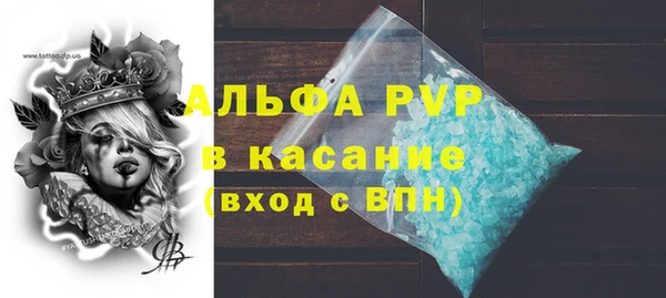 стафф Козельск
