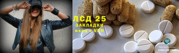 стафф Козельск