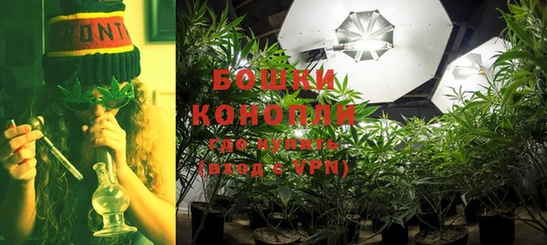 стафф Козельск