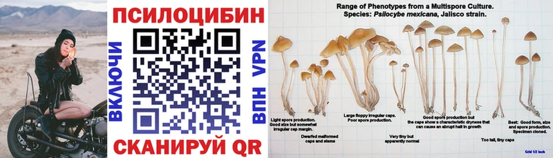 Галлюциногенные грибы Psilocybine cubensis  Купить где  Гулькевичи 